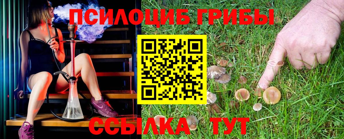 Псилоцибиновые грибы ЛСД Касимов